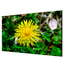 Hikvision DS-D2055HE-G