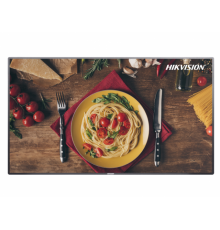 Hikvision DS-D6032FN-B