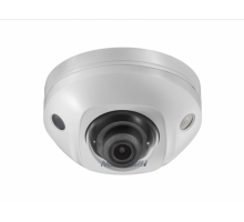 Видеокамера Hikvision DS-2CD2523G0-IWS