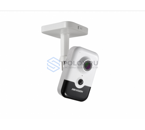 Hikvision DS-2CD2455FWD-IW